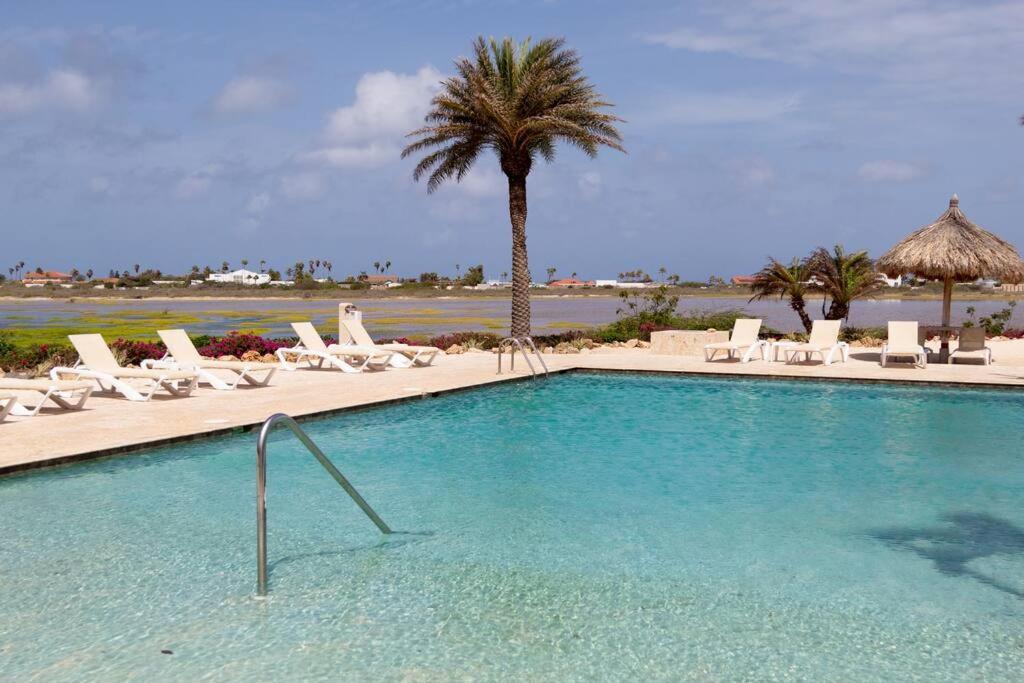 New! Cozy 1 Bedroom Condo- Gold Coast, Noord Aruba Palm Beach Exterior photo